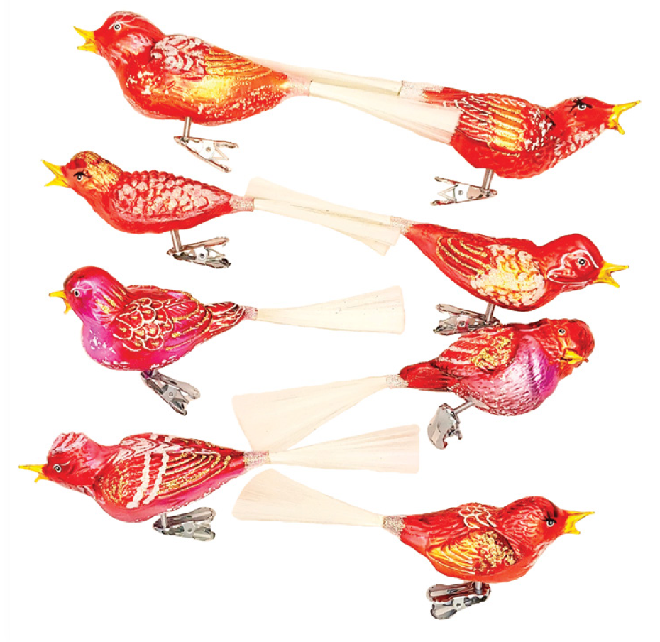 Red Paradise Birds