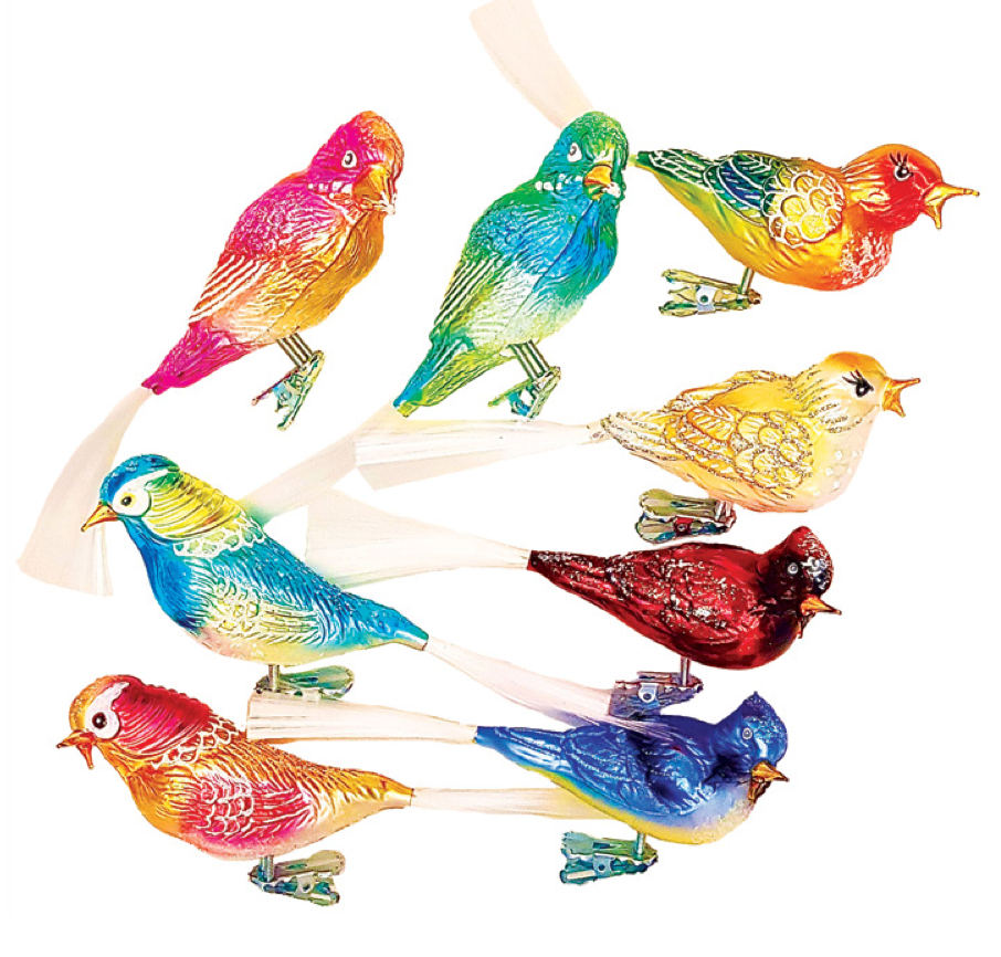 Spring Song Birds